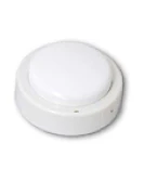 rate of rise heat detector